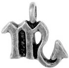 Zodiac, Pendant, Astrology, Horoscope, Scorpio, High Concepts, Leadfree, Pewter, Amulet