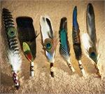 Smudge Feather, Incense, Sage